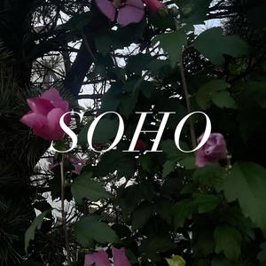 soho (feat. bradraco) (Explicit)