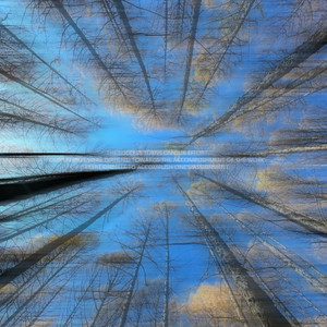 In the End(胜利之舞pubg)