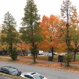 stay quiet(chriad) (Explicit)