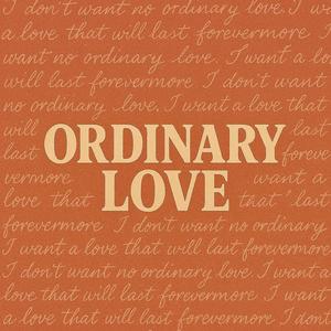 Ordinary Love