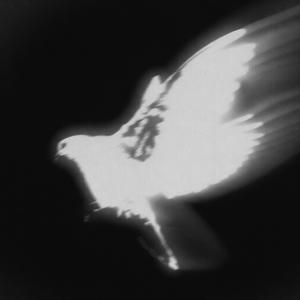 cancun (feat. palmfiti) (Explicit)