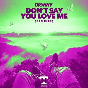 Brynny - Don't Say You Love Me (Theis EZ Remix)