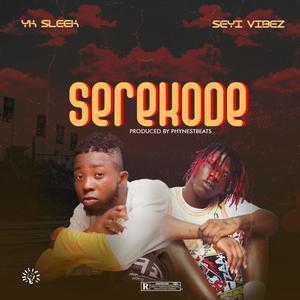 Serekode(feat. Seyi Vibez) (Explicit)