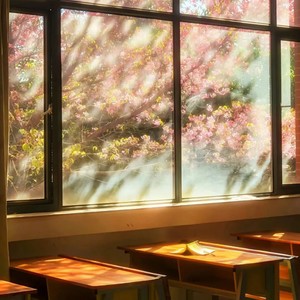 纯音乐 - never meant to hurt you (Inst.)