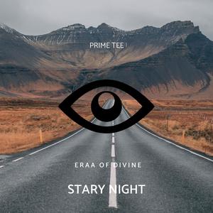 Stary Night (Original Mix)