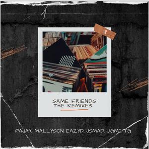 Same Friends The Remixes