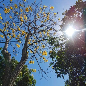 客官不可以 (Demo)