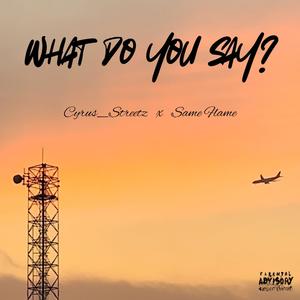 What Do You Say? (feat. Same Flame)