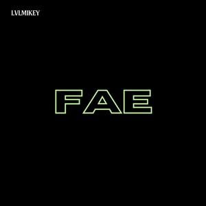 FAE (Explicit)