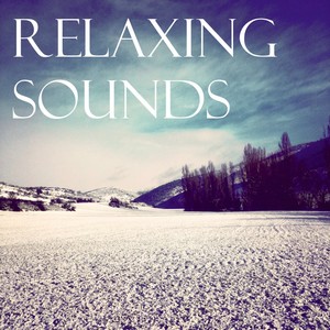 Relaxing Sounds: White Noise, Pink Noise and Brown Noise Collection