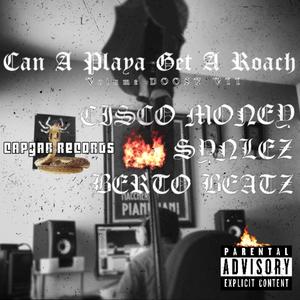 Can A Playa Get A Roach (Volume Doose VII) [Explicit]