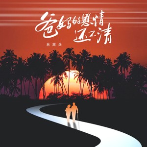 爸妈的恩情还不清 (DJ林高兵版)