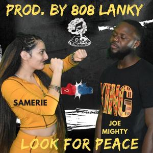 Look for peace (feat. Samerie)