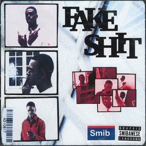 FAKE **** (Explicit)