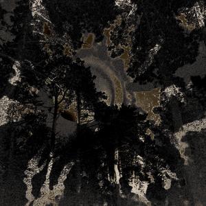 DOUBLE BLACK (feat. Kill Ebola, BRXND & Gashacybin) (Explicit)