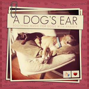 A Dog's Ear : Soothing Music for Dogs With Anxiety