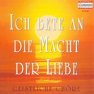 Ave Maria, Op. 533: Ave Maria, Op. 533 - Nun ist der laute Tag verhallt