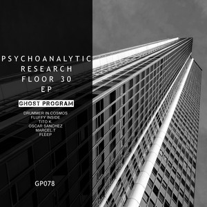 Psychoanalytic Advanced Research Floor 30 EP