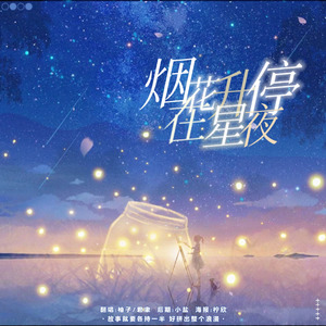 烟花升停在星夜