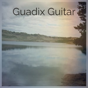 Guadix Guitar