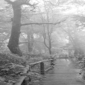 4Ever more (feat. mimofr) (Explicit)