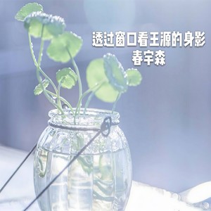 透过窗口看王源身影