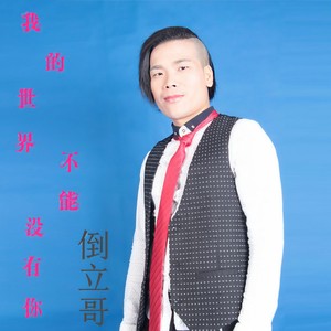 我的世界不能没有你