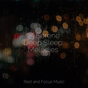 35 Serene Deep Sleep Melodies