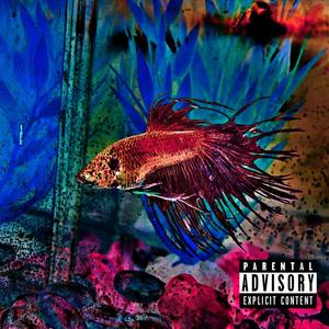 POP TART (feat. Cai22) (Explicit)