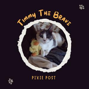 Timmy The Brave