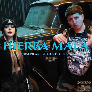 Hierba Mala (feat. Chikis Reyess) [Explicit]