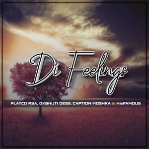 Di Feelings (feat. Playco rsa, Captain Moshka & HisFamous)