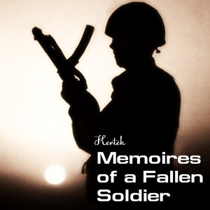 Memoires of a Fallen Soldier