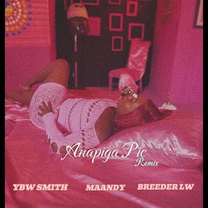 ANAPIGA PIC (feat. YBW Smith & Breeder LW) [Explicit]