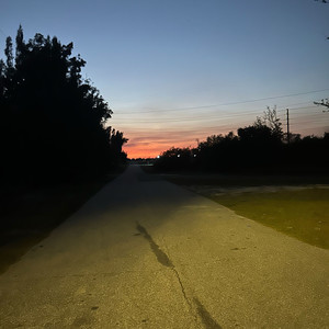 Freestyle (Explicit)