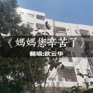 妈妈您辛苦了 (Live)