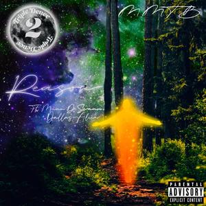 Reason(feat. Maan.D.Swann & Dallas Aleea) (Inst.)