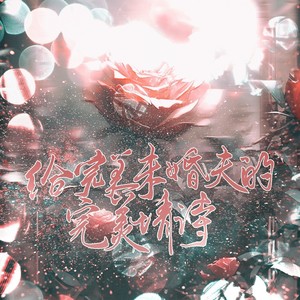 给完美未婚夫的完美情诗