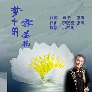 梦中的雪莲花