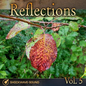 Reflections, Vol. 5