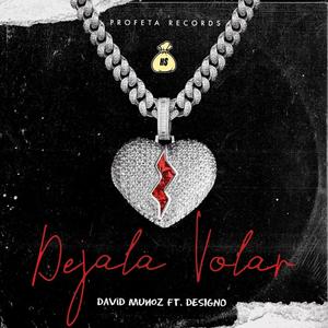 Dejala Volar (feat. Designó) [Explicit]