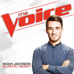 Elastic Heart (The Voice Performance)