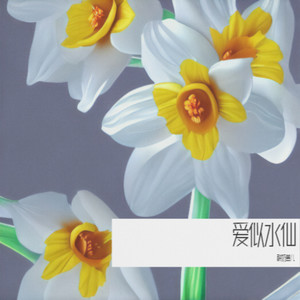爱似水仙 (你说我冷得像水仙)
