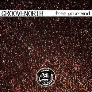 Free Your Mind (Original Mix)