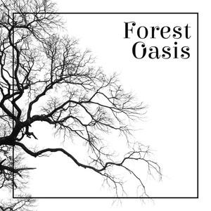 Discover Relax with Nature