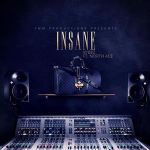 Insane (feat. North Ace) [Explicit]