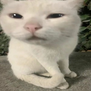 nắng dưới chân mây