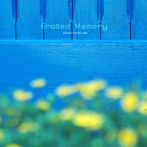 Erased Memory