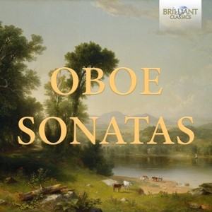 Sonata No. 5 in G Minor, FXIII, RV 28 - IV. Allegro