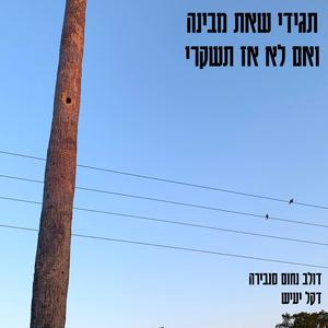 תגידי שאת מבינה ואם לא אז תשקרי